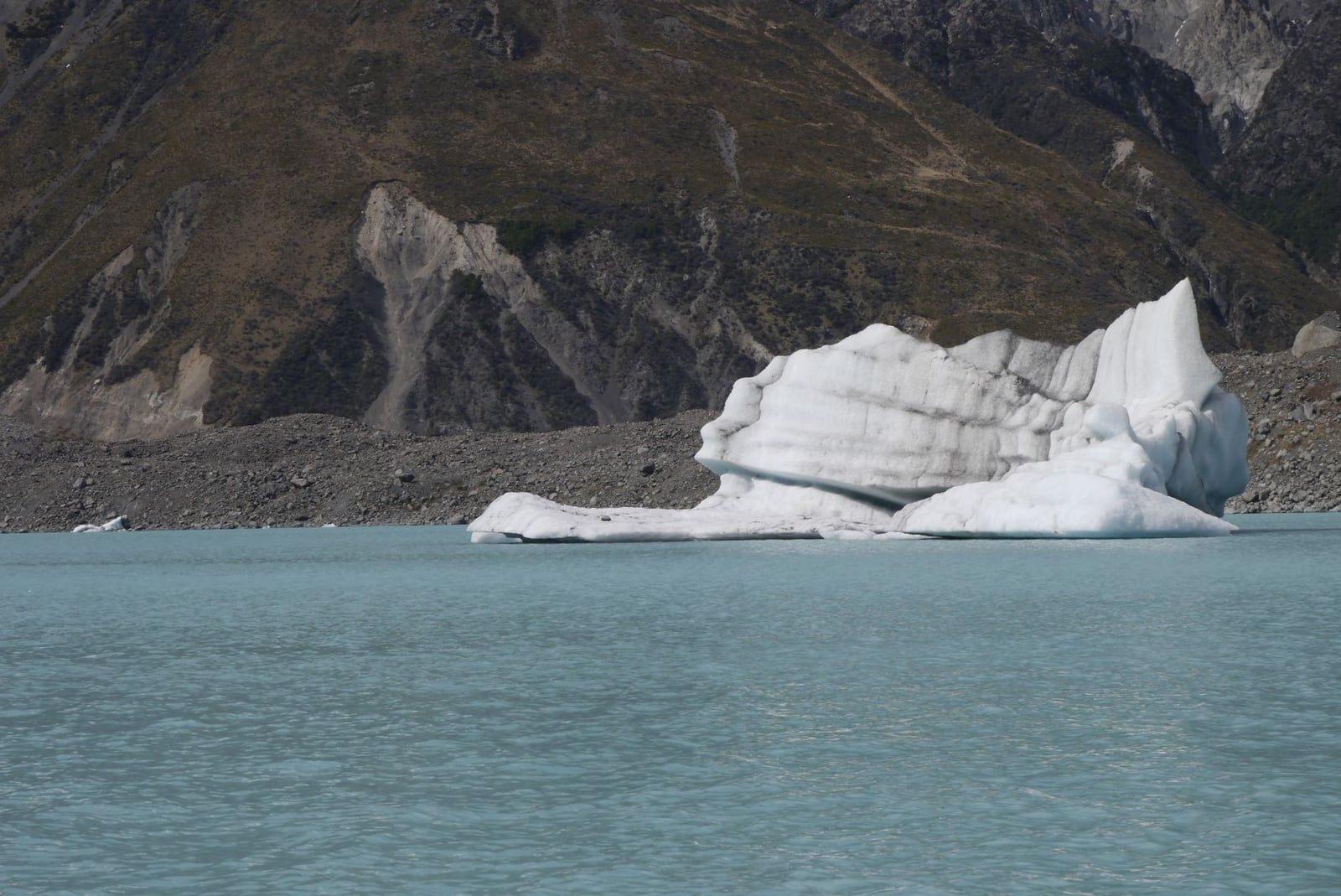 A large iceberg floats in the milky glacial water of Tasman Lake near Mount Cook.